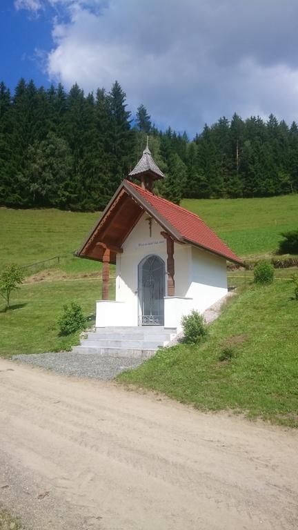 Bio-Peisingerhof Διαμέρισμα Sankt Stefan ob Leoben Εξωτερικό φωτογραφία